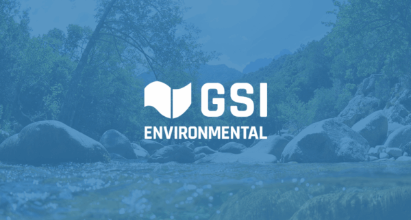 GSI
